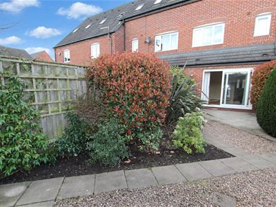 Picture 17